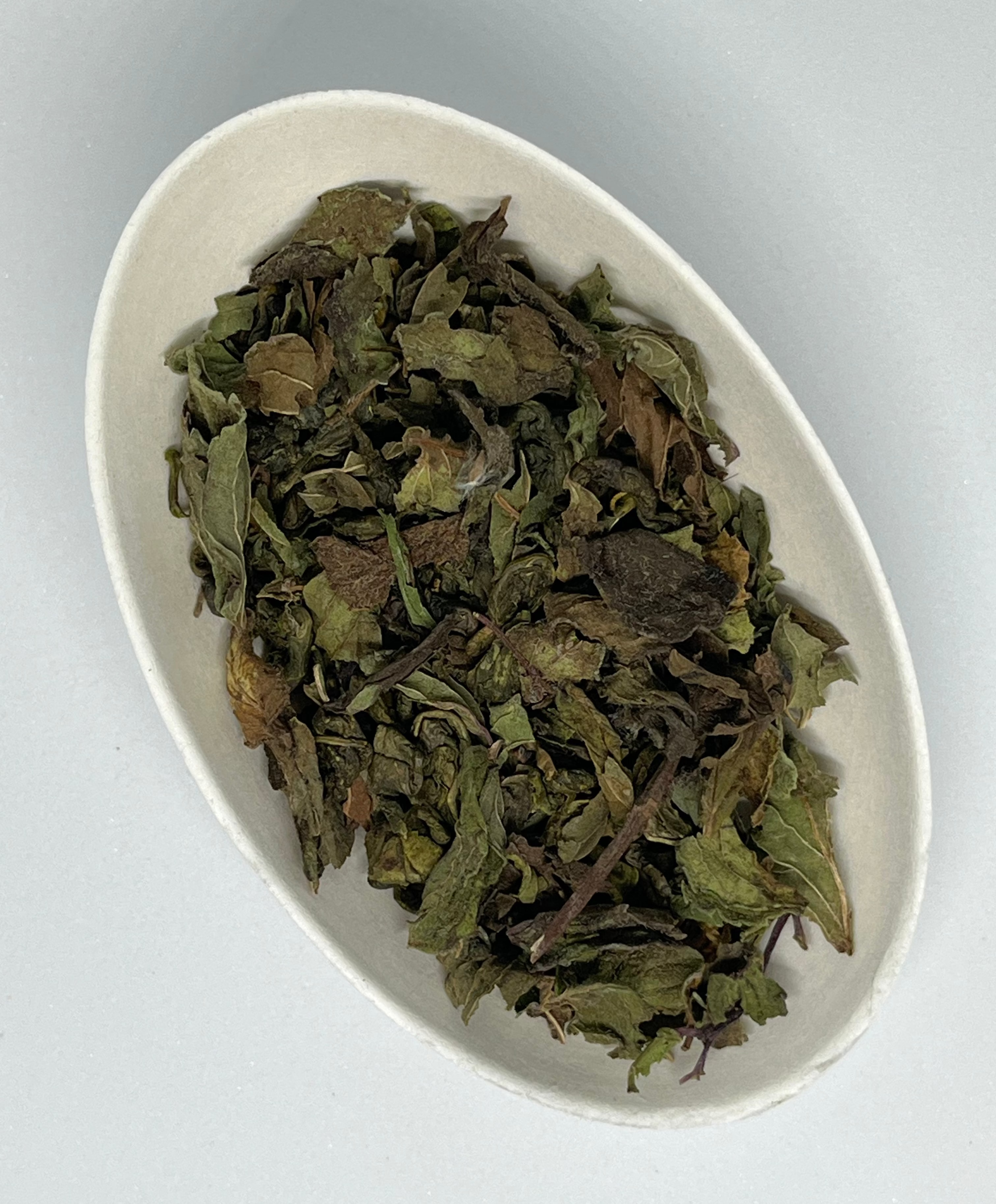 Fraîcheur verte